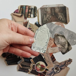Pegatinas de la Academia Oscura para diarios basura, calcomanías para amantes de la lectura, etiquetas florales vintage para libros, paquete de pegatinas.