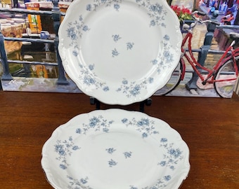 Set of 2 Blue Garland Salad Plates by Johann Haviland