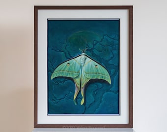 Luna Moth-målning: Samtida realism akrylkonst på duk