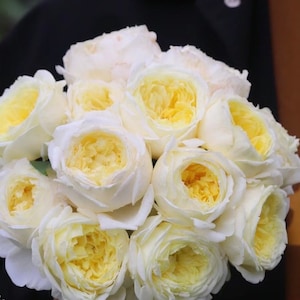 Mon Coeur 我的心モン クゥール Fragrance. Japanese Rose Continue