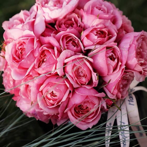 Yumeko Roseページ KYOWA SHIKO A5 Twin Gring Notebook Fleurs – ZenPop Japan