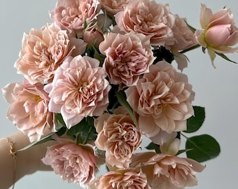 Mon Coeur 我的心モン クゥール Fragrance. Japanese Rose Continue