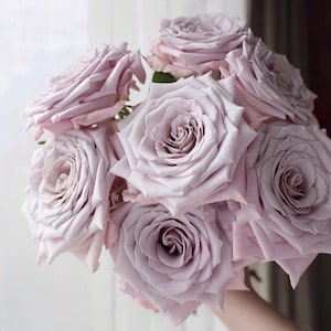 Pode incluir: Um buqu&ecirc; de rosas de cor lavanda p&aacute;lida com p&eacute;talos macios.