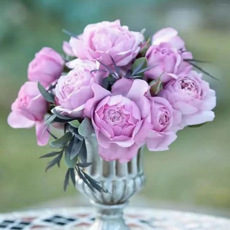 Rose Antique Watch. 古董怀表. Japanese Rose. Strong Fragrance. 60+