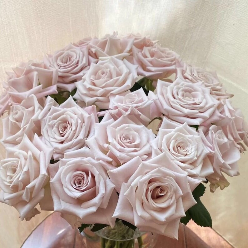 Pode incluir: Um buqu&ecirc; de rosas cor-de-rosa p&aacute;lido dispostas em forma circular. As rosas est&atilde;o em diferentes est&aacute;gios de flora&ccedil;&atilde;o, algumas est&atilde;o totalmente abertas e outras ainda em bot&atilde;o.