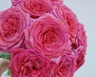 Mon Coeur 我的心モン クゥール Fragrance. Japanese Rose Continue