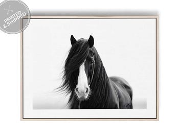 Windswept Black Horse Portrait Print Black & White Equestrian Wall Art, Dramatic Fine Art Photography, Modern Minimalist Home Decor