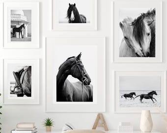 Black and White Horse Print Equestrian Wall Art, Modern Horse Photography, Neutral Farmhouse and Scandinavian Home Decor