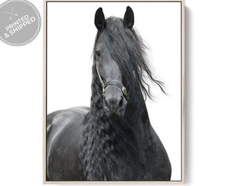 Black Friesian Horse Portrait Print Elegant Equestrian Wall Art, Powerful Black Horse Photography, Luxury Minimalist Home Decor