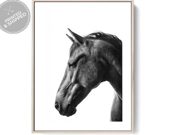 Black & White Horse Wall Art – Equestrian Photography Print, Minimalist Farmhouse Decor, Modern Animal Portrait
