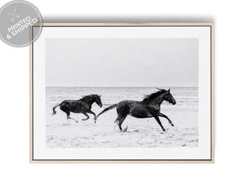 Black and White Running Horses on Beach Photography Print – Dynamic Equestrian Wall Art, Fine Art Decor, Horse Lover Gift