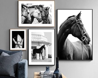 Black White Photography Horses Poster Animals Canvas Painting On The Wall Nordic Print Picture For Living Room Home Decor