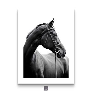 Elegant equestrian animal wall decor black and white posters Black and White Horse Photography Set – Equestrian Wall Art Prints, Modern Farmhouse Animal Poster Collection