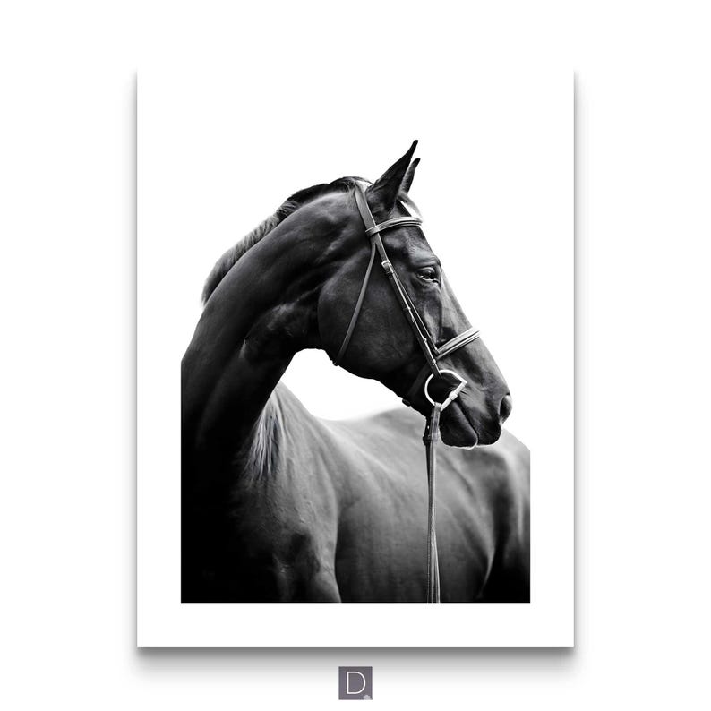 Elegant equestrian animal wall decor black and white posters Black and White Horse Photography Set – Equestrian Wall Art Prints, Modern Farmhouse Animal Poster Collection