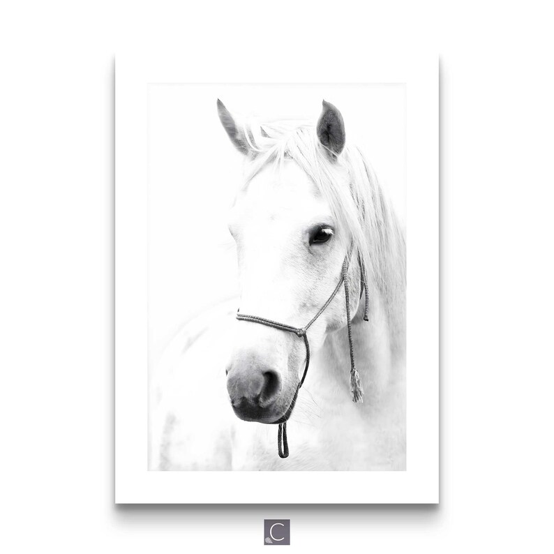 Set of 6 black and white horse photography fine art prints Black and White Horse Photography Set – Equestrian Wall Art Prints, Modern Farmhouse Animal Poster Collection