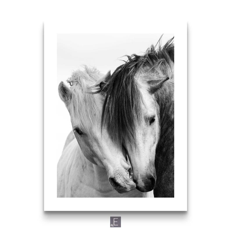 Horse portrait photography wall art minimalist monochrome set Black and White Horse Photography Set – Equestrian Wall Art Prints, Modern Farmhouse Animal Poster Collection