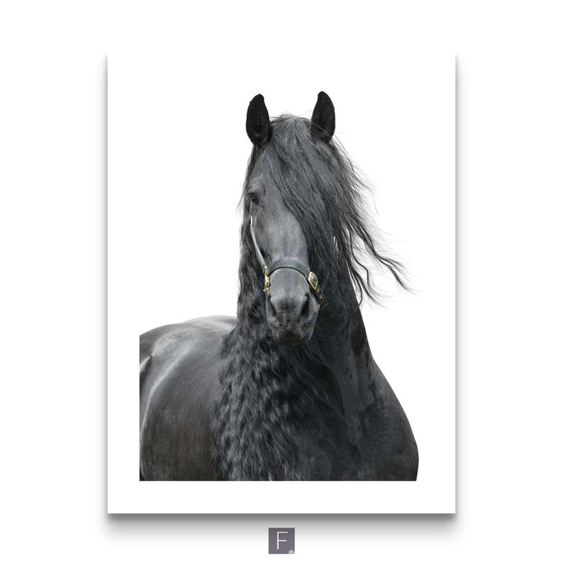 Rustic farmhouse decor horse photography poster collection Black and White Horse Photography Set – Equestrian Wall Art Prints, Modern Farmhouse Animal Poster Collection