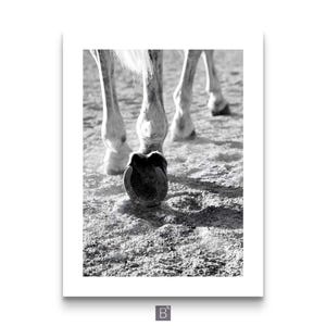 Modern farmhouse horse photo prints minimalist wall decor Black and White Horse Photography Set – Equestrian Wall Art Prints, Modern Farmhouse Animal Poster Collection