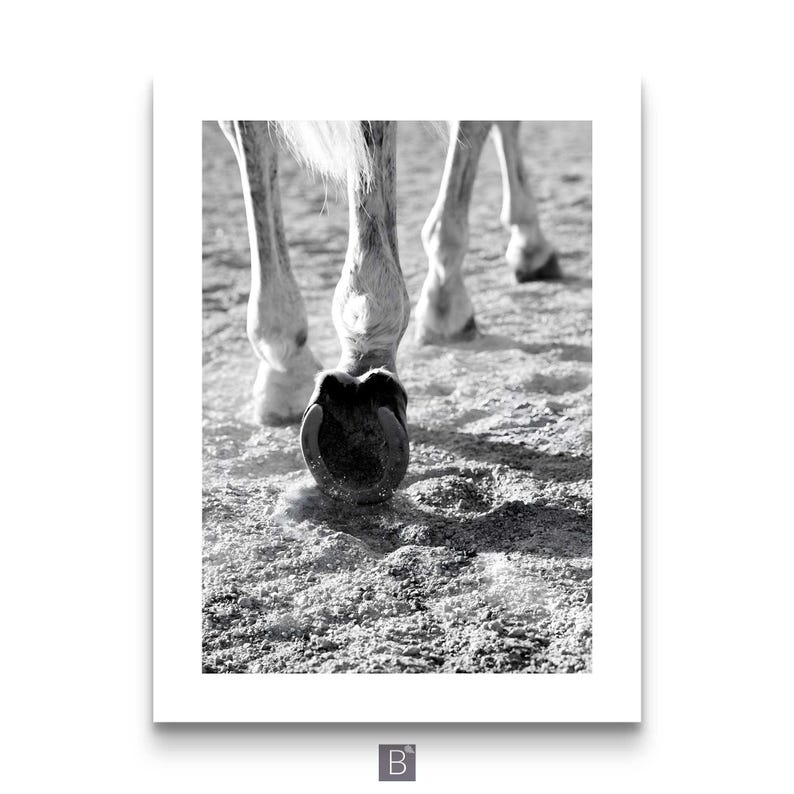 Modern farmhouse horse photo prints minimalist wall decor Black and White Horse Photography Set – Equestrian Wall Art Prints, Modern Farmhouse Animal Poster Collection