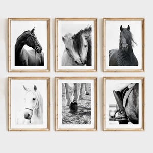 Black and white horse photography wall art print set of six Black and White Horse Photography Set – Equestrian Wall Art Prints, Modern Farmhouse Animal Poster Collection
