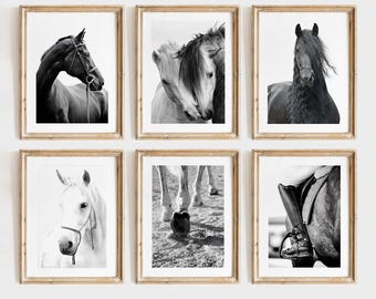 Black and White Horse Photography – Equestrian Wall Art Prints, Modern Farmhouse Animal Poster Collection