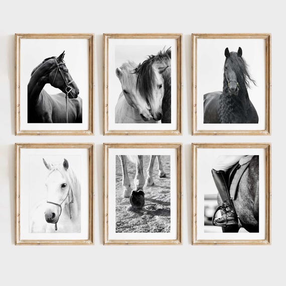 Black and White Horse Photography – Equestrian Wall Art Prints, Modern Farmhouse Animal Poster Collection