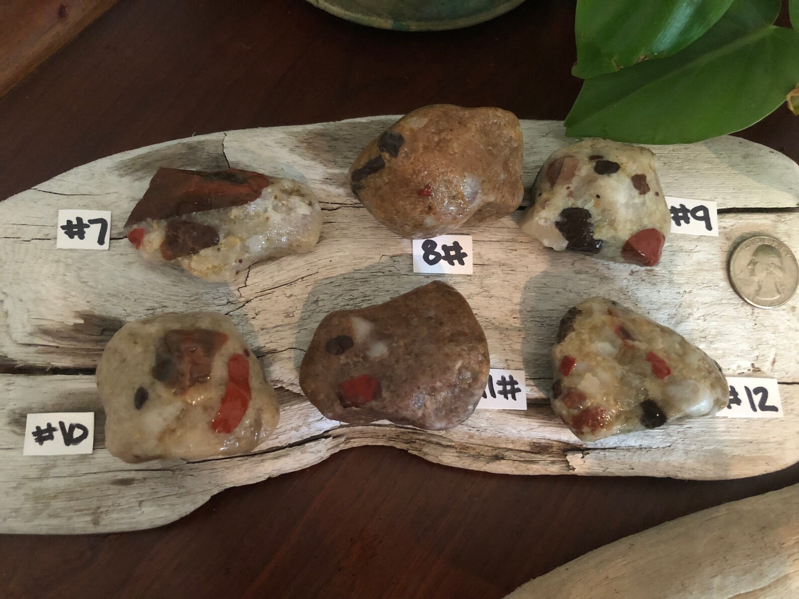 Medium Pudding Stone. Raw Pudding Stones Etsy