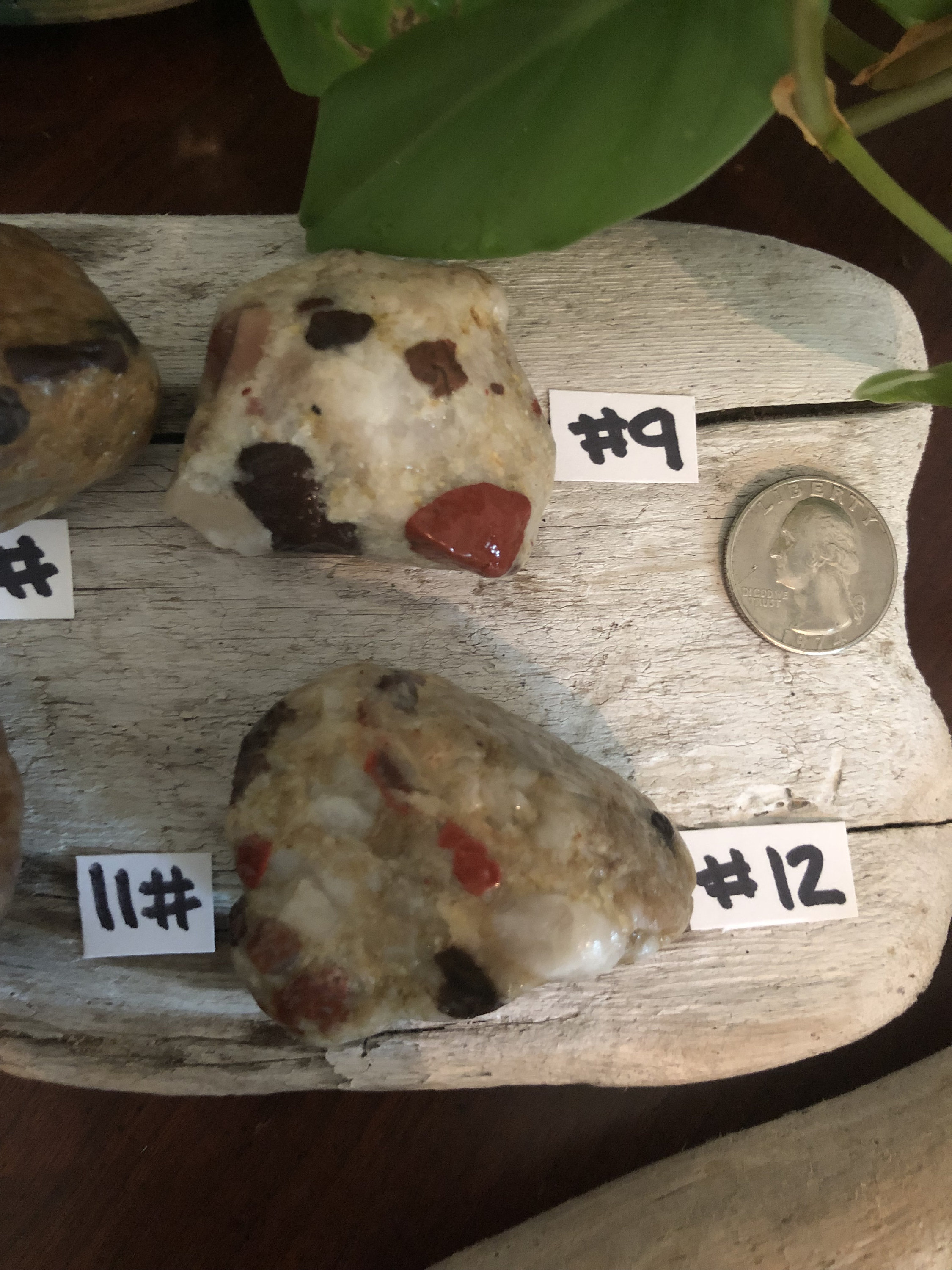 Medium Pudding Stone. Raw Pudding Stones Etsy