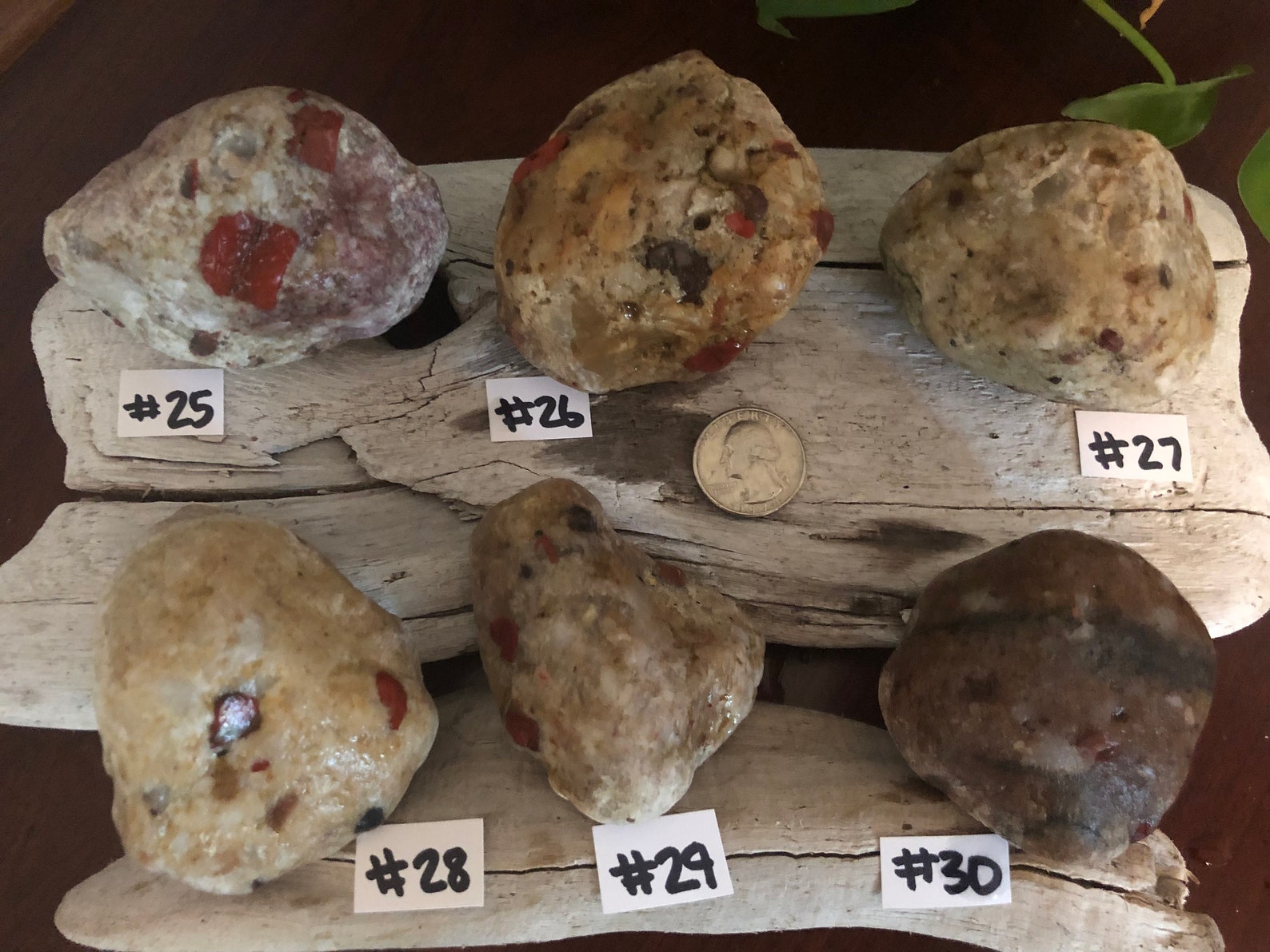 Large Pudding Stone. Raw Pudding Stone Etsy