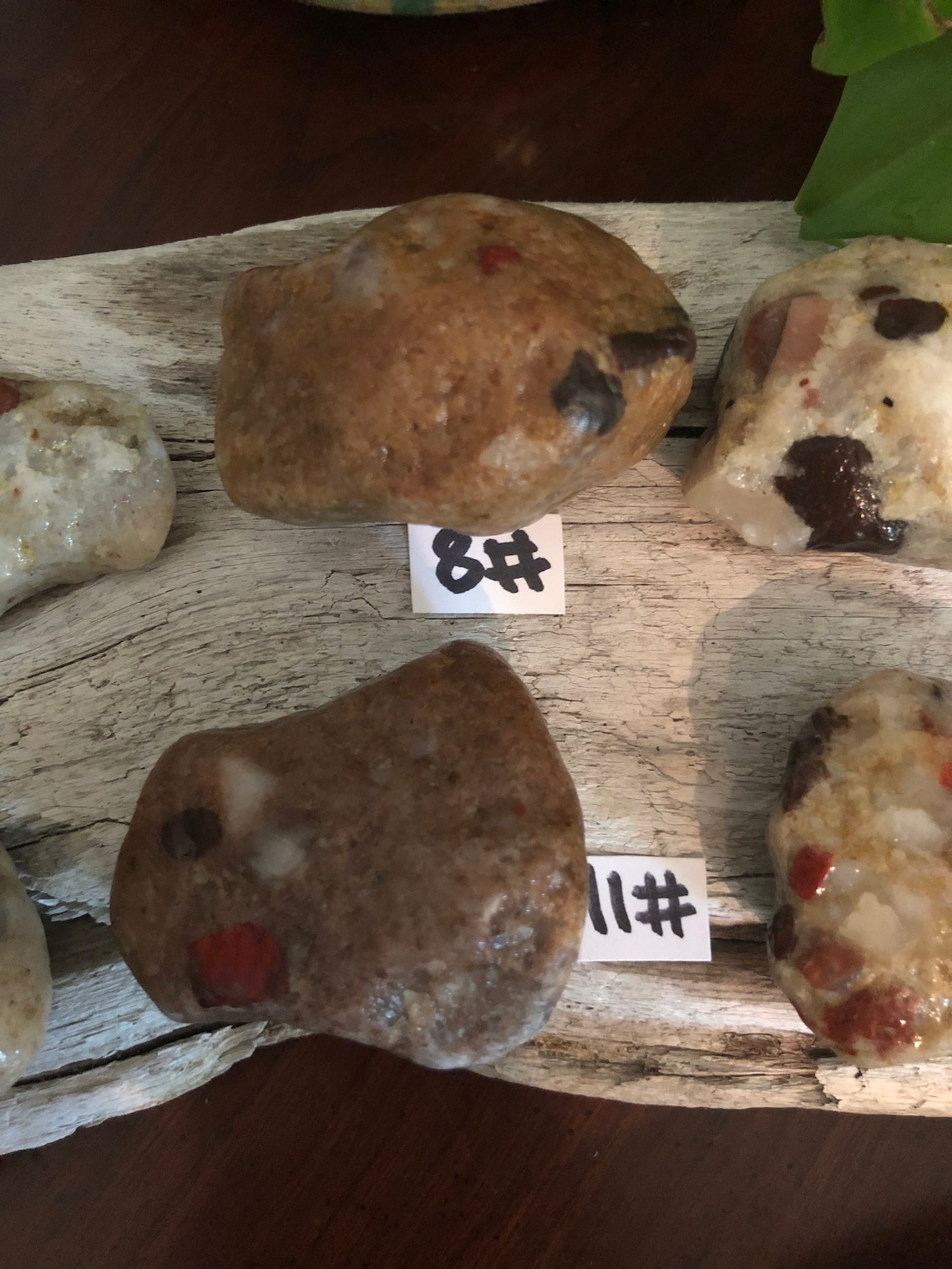 Medium Pudding Stone. Raw Pudding Stones Etsy