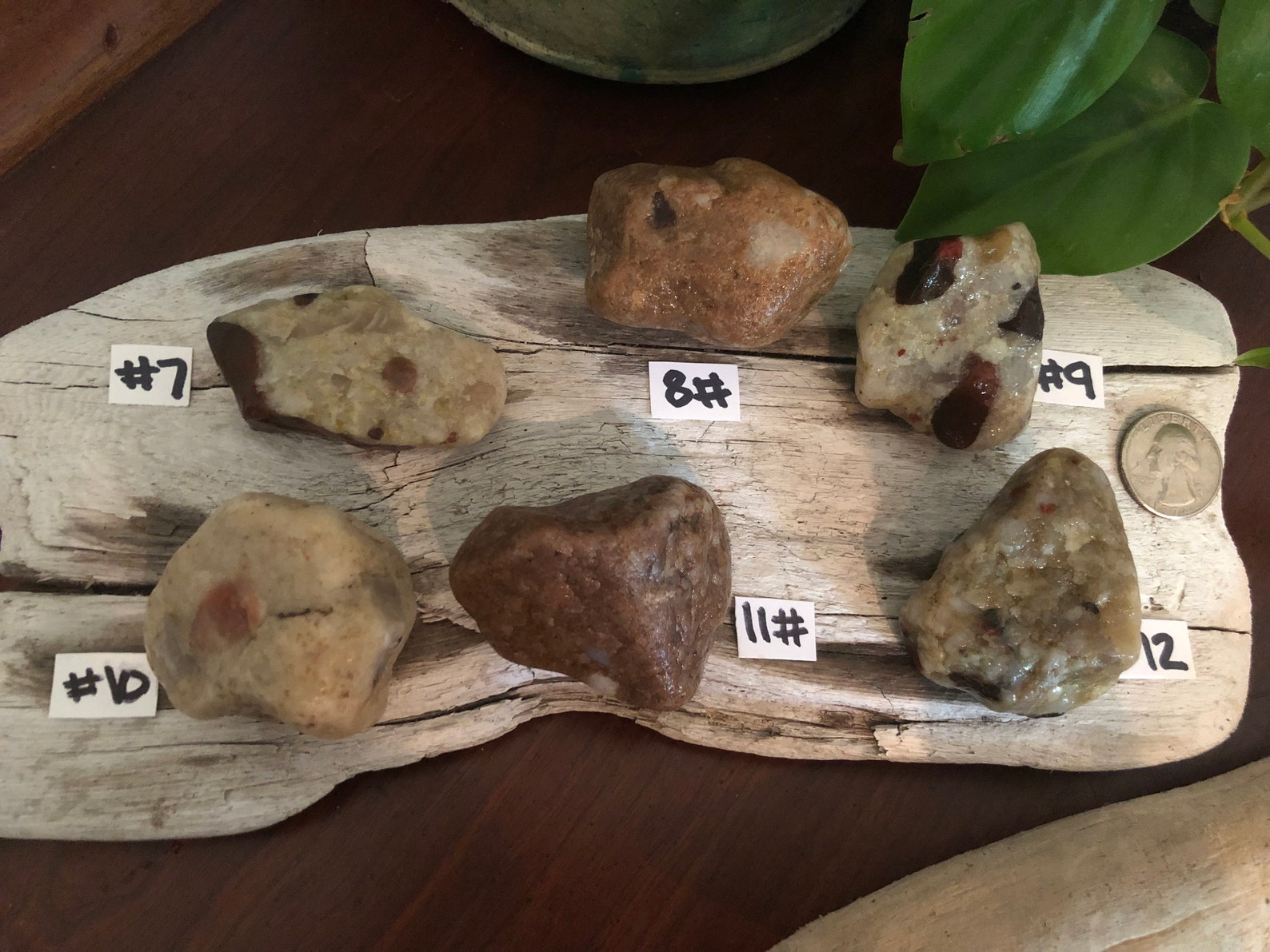 Medium Pudding Stone. Raw Pudding Stones Etsy