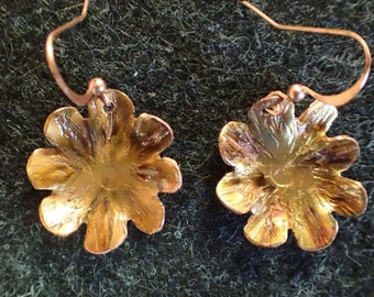 May include: A pair of copper-colored flower earrings. Each earring features a flower-shaped design with six petals and a curved ear wire. The earrings have a shiny, metallic finish and are displayed against a dark green background.