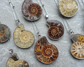 アンモナイト化石シェルネックレス、本物のアンモナイトネックレス