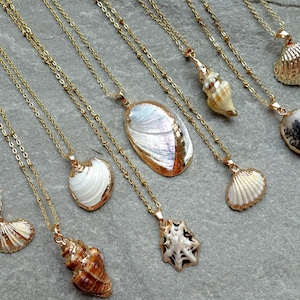 Puede incluir: Una colección de collares dorados con colgantes de conchas marinas. Los colgantes incluyen una variedad de formas y colores, desde conchas de vieira blancas y doradas hasta conchas moteadas marrones y blancas. Los collares se muestran sobre una superficie gris.