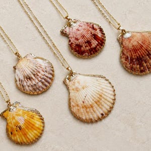 May include: Five necklaces featuring natural scallop shells as pendants, each suspended from a thin gold-tone metal chain. The shells display varied natural patterns and colours, including shades of yellow, white, brown, and deep reddish-orange.