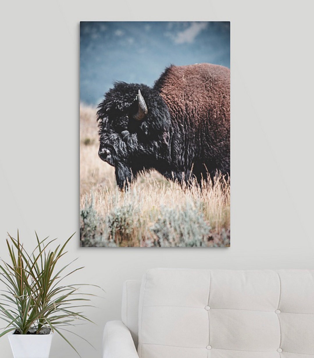 Yellowstone Bison Canvas Buffalo Wall Art Home Decor - Etsy