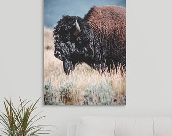 Yellowstone Bison Canvas Buffalo Wall Art Home Decor