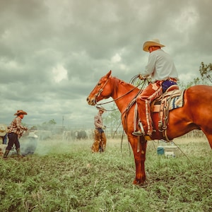 Texas Working Cowboys Western Horse Art Print Cowboy Art Home Decor