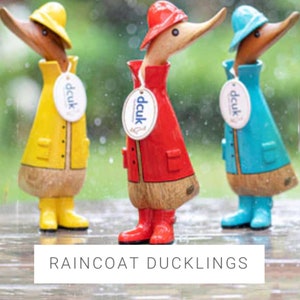 Natural Wood Raincoat Duckling