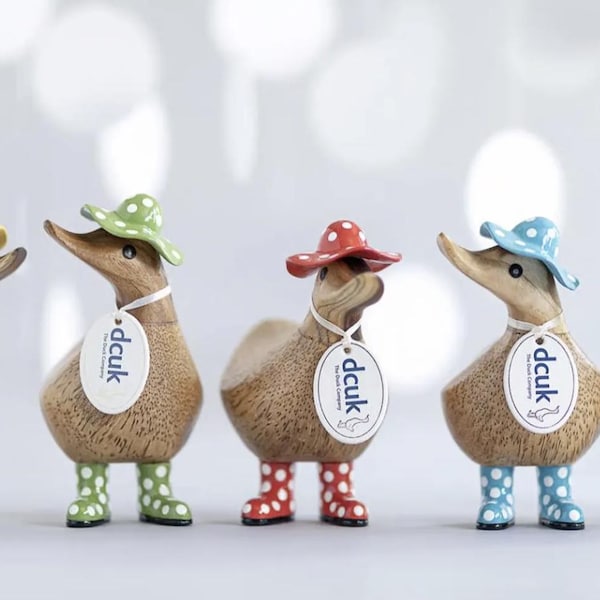 Könnte beinhalten: Fünf Holz-Entenfiguren mit bunten Polka-Dot-Hüten und Stiefeln. Jede Ente hat ein Etikett mit der Aufschrift "dcuk". Die Hüte und Stiefel sind gelb, grün, rot, blau und rosa. Die Enten stehen auf einer hellgrauen Oberfläche.
