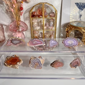 May include: A display of polished agate slices in shades of purple, orange, and white, arranged on a clear acrylic shelf. A small glass display case with crystals and decorative items is in the background. Dried flowers in a pink vase add a touch of color.
