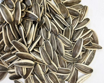 Raw Premium LARGE Jumbo SUNFLOWER SEEDS in shell All Natural Healthy Snacks Nuts Vegan Fresh Preservative-free Bulk Wholesale