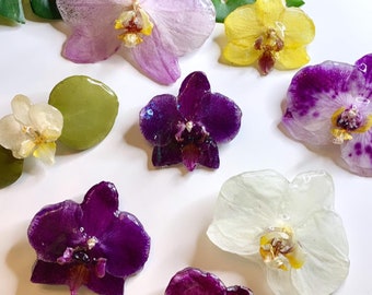 Orchid Hair Clip  · Preserved Phalaenopsis · Prom Hair · Wedding Hair Accessory · Boho Wedding · Gift Idea · Real Orchid Flower