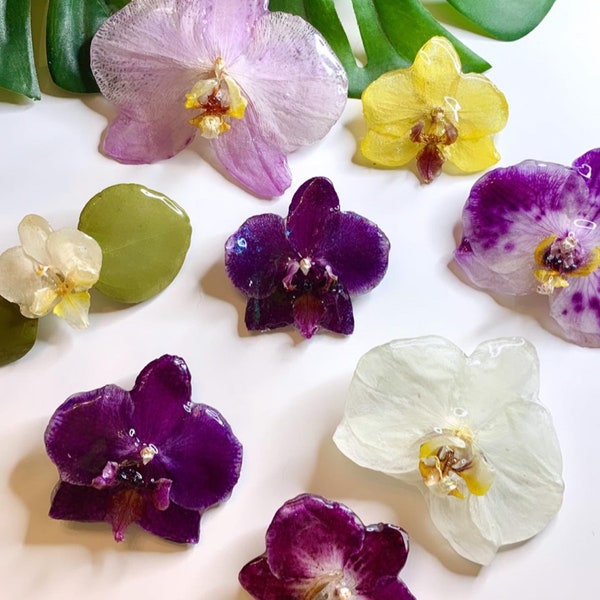 Orchid Hair Clip  · Preserved Phalaenopsis · Prom Hair · Wedding Hair Accessory · Boho Wedding · Gift Idea · Real Orchid Flower