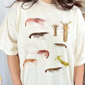 Vintage Shrimp Shirt - Prawn t-shirt, comfort colors t-shirt, ocean and beach shirt, marine biology shirt, Crustaceancore gifts