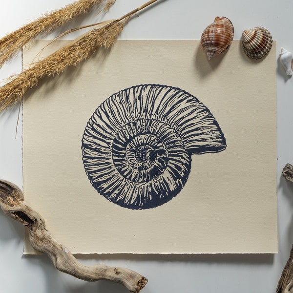 Originale linogravure fossile ammonite . Décoration murale coquillage tropical et exotique . Ambiance voyage plage et détente