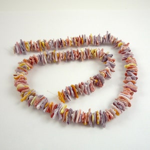 May include: A strand of purple, orange, and yellow shell beads. The beads are irregular in shape and size, and they are strung on a clear thread.