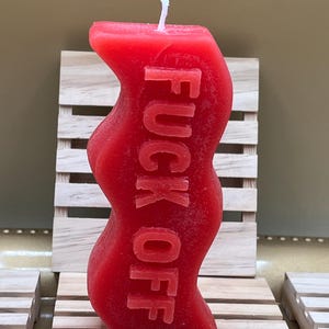 Black Raspberry Vanilla Handmade Scented F OFF Candle