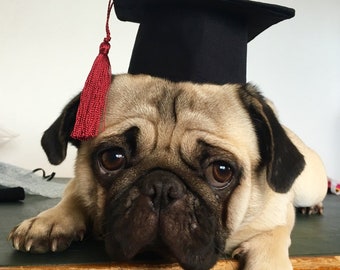 Dogs/Cats Graduation Caps