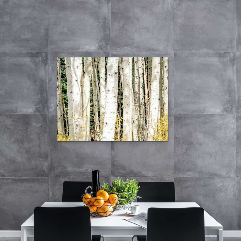 APPRECIATING ASPEN Fine shops Art Print